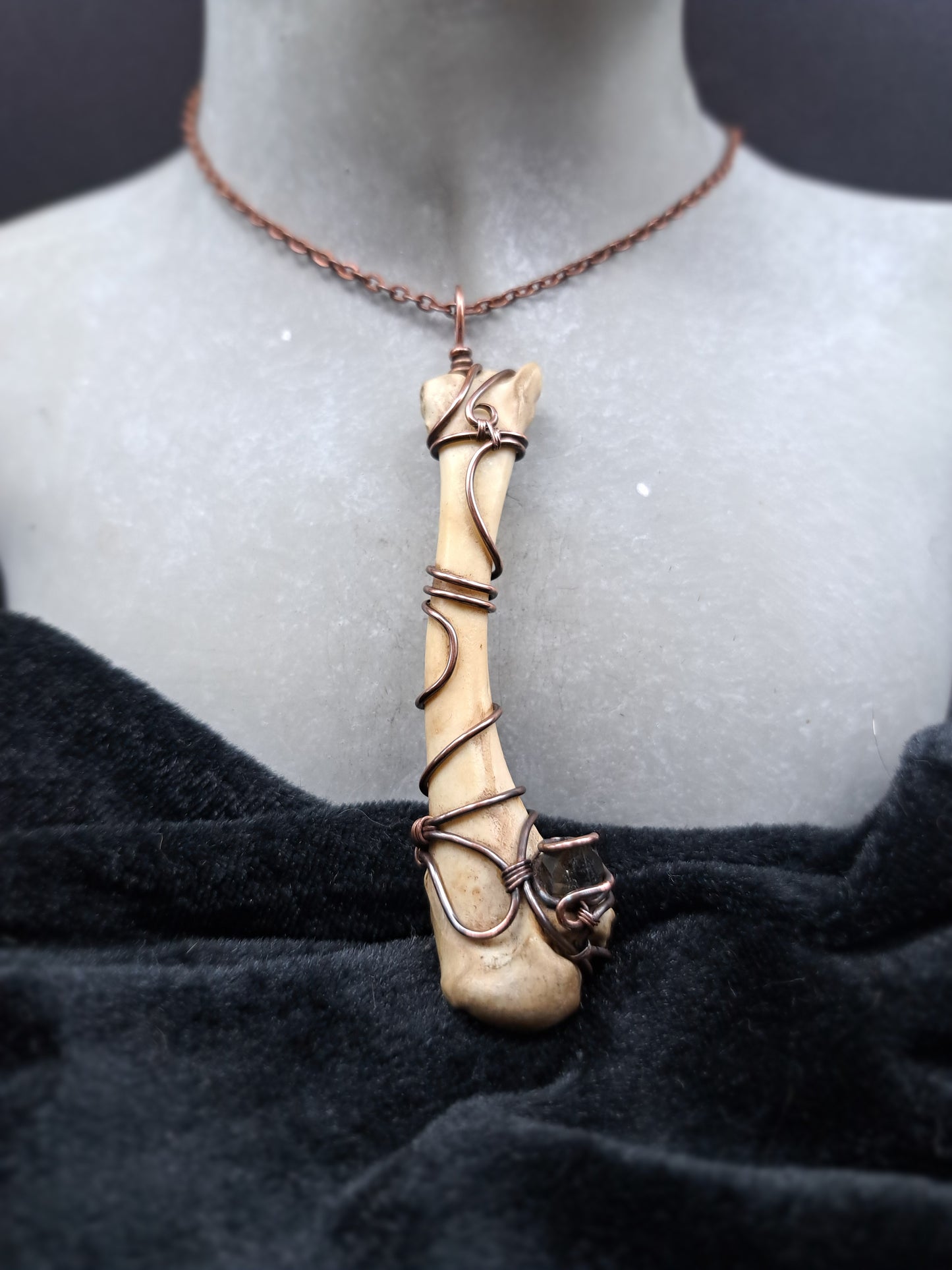 Fasanenknochen "Pathfinder"