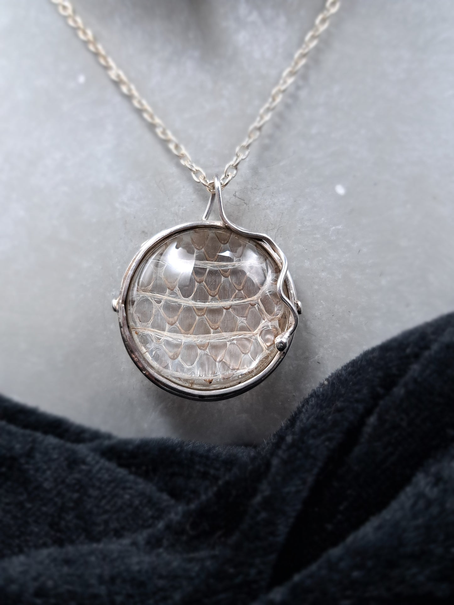 Schlangenhaut in Silber "Essenz der Schlangen"