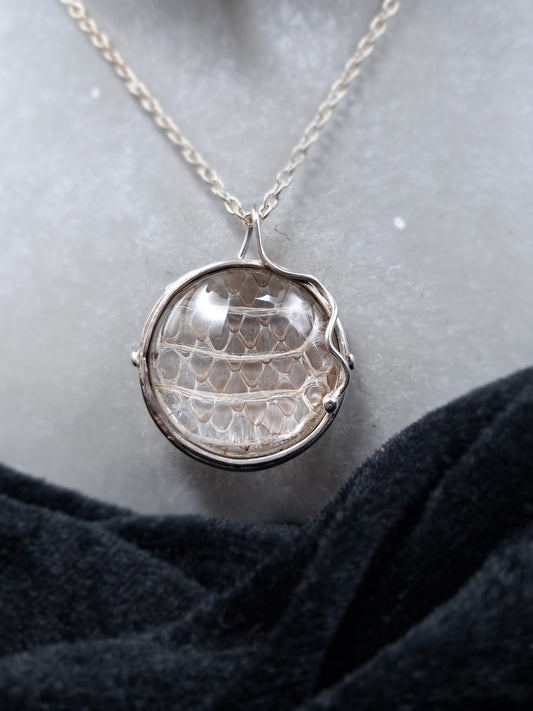 Schlangenhaut in Silber "Essenz der Schlangen"